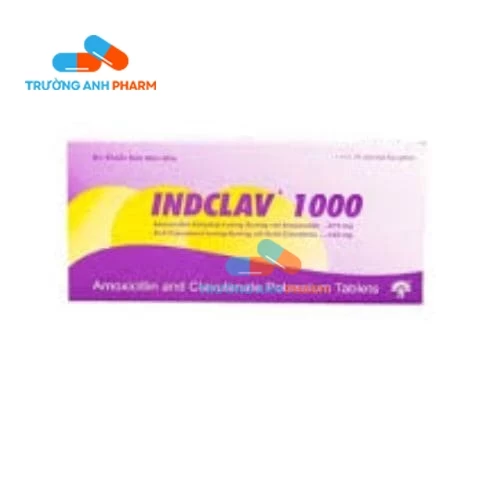 Indclav 156 Indchemie - Thuốc điều trị nhiễm khuẩn